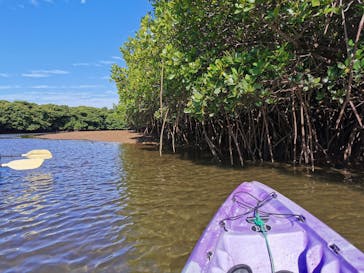 CHOROに投稿された画像（2020/10/25）