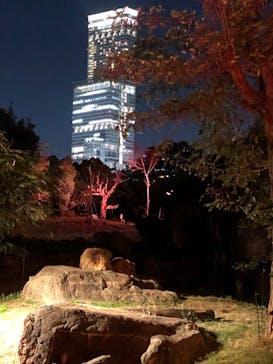 天王寺動物園に投稿された画像（2020/10/25）