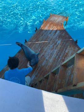 京急油壺マリンパークに投稿された画像（2020/10/25）