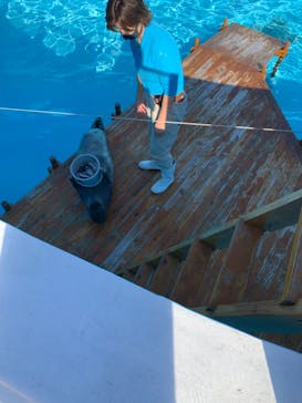 京急油壺マリンパークに投稿された画像（2020/10/25）