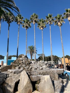 京急油壺マリンパークに投稿された画像（2020/10/25）