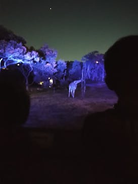 天王寺動物園に投稿された画像（2020/10/25）