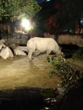 天王寺動物園に投稿された画像（2020/10/25）