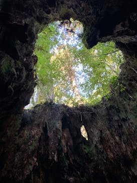 屋久島ガイドクラブに投稿された画像（2020/10/25）