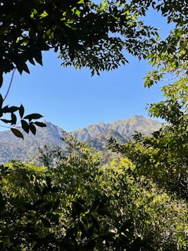 屋久島ガイドクラブに投稿された画像（2020/10/25）