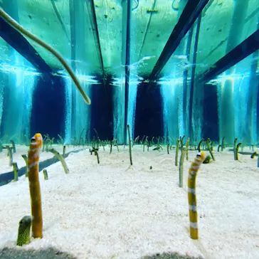 すみだ水族館に投稿された画像（2020/10/25）