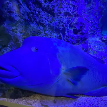 すみだ水族館に投稿された画像（2020/10/25）