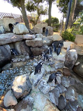 株式会社Gに投稿された画像（2020/10/25）