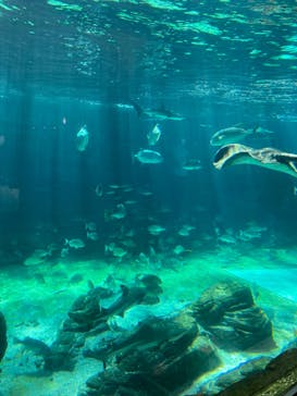 株式会社Gに投稿された画像（2020/10/25）