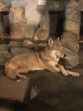 天王寺動物園に投稿された画像（2020/10/25）