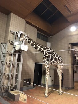 天王寺動物園に投稿された画像（2020/10/25）