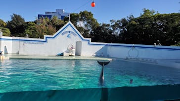 しながわ水族館に投稿された画像（2020/10/25）