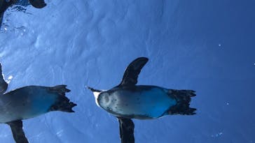 サンシャイン水族館に投稿された画像（2020/10/25）