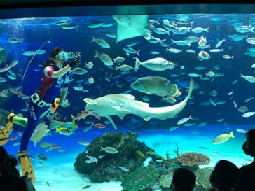 サンシャイン水族館に投稿された画像（2020/10/25）