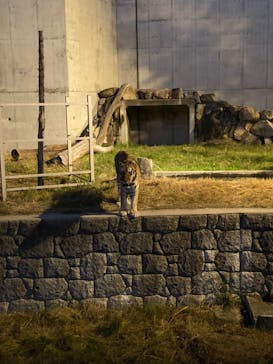 天王寺動物園に投稿された画像（2020/10/26）