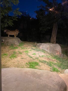 天王寺動物園に投稿された画像（2020/10/26）