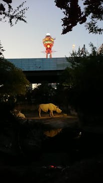 天王寺動物園に投稿された画像（2020/10/25）