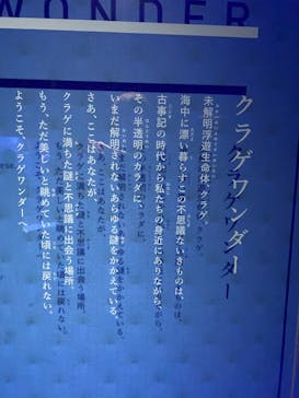 京都水族館に投稿された画像（2020/10/26）