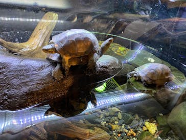 京都水族館に投稿された画像（2020/10/26）