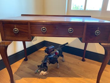 神戸六甲ミーツ・アート2025 beyondに投稿された画像（2020/10/26）