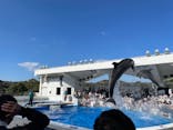 九十九島水族館海きららに投稿された画像（2020/10/26）