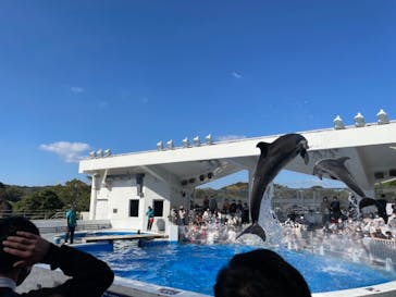 九十九島水族館海きららに投稿された画像（2020/10/26）