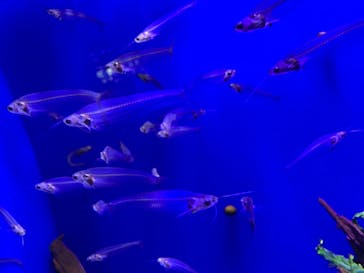 サンシャイン水族館に投稿された画像（2020/10/26）