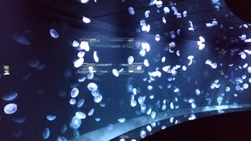 サンシャイン水族館に投稿された画像（2020/10/26）