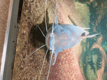 サンシャイン水族館に投稿された画像（2020/10/26）