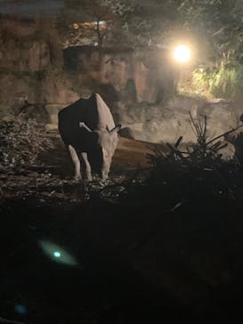 天王寺動物園に投稿された画像（2020/10/26）