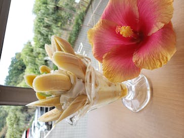 熱川バナナワニ園に投稿された画像（2020/10/26）