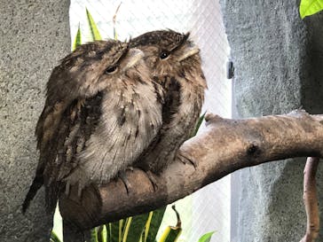 那須どうぶつ王国に投稿された画像（2020/10/26）