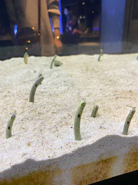 すみだ水族館に投稿された画像（2020/10/26）