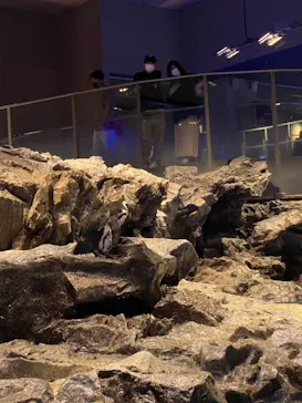 すみだ水族館に投稿された画像（2020/10/26）