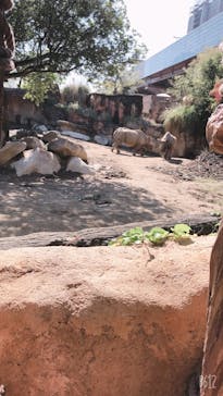 天王寺動物園に投稿された画像（2020/10/26）