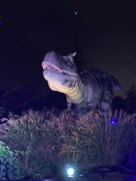 伊豆ぐらんぱる公園に投稿された画像（2020/10/26）