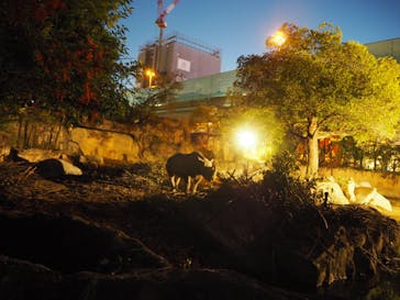 天王寺動物園に投稿された画像（2020/10/26）
