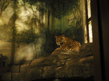 天王寺動物園に投稿された画像（2020/10/26）