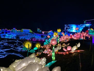 伊豆ぐらんぱる公園に投稿された画像（2020/10/26）