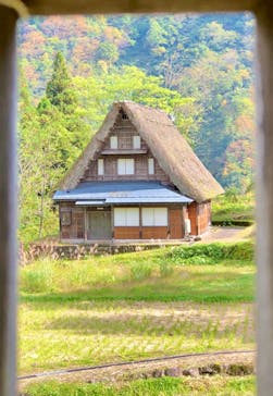 ホワイトリングに投稿された画像（2020/10/26）