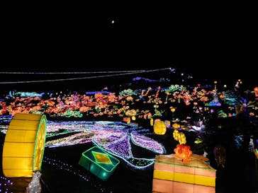 伊豆ぐらんぱる公園に投稿された画像（2020/10/26）