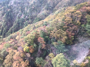 びわ湖バレイに投稿された画像（2020/10/26）