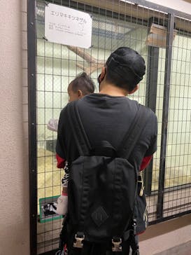 天王寺動物園に投稿された画像（2020/10/26）