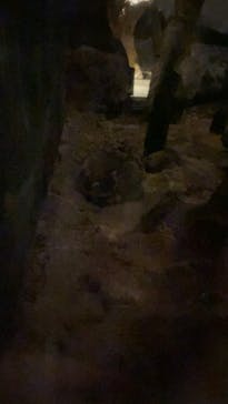 天王寺動物園に投稿された画像（2020/10/26）