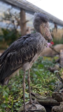 神戸どうぶつ王国に投稿された画像（2020/10/26）