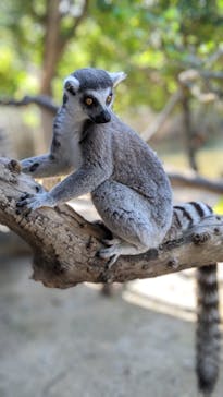 神戸どうぶつ王国に投稿された画像（2020/10/26）