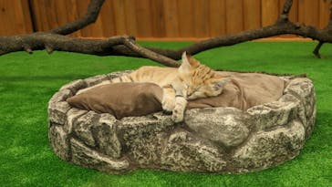 神戸どうぶつ王国に投稿された画像（2020/10/26）