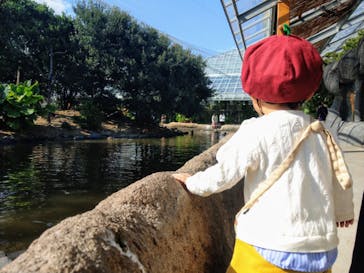 神戸どうぶつ王国に投稿された画像（2020/10/26）