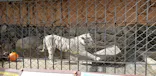東武動物公園に投稿された画像（2020/10/26）