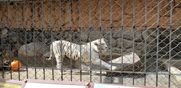東武動物公園に投稿された画像（2020/10/26）